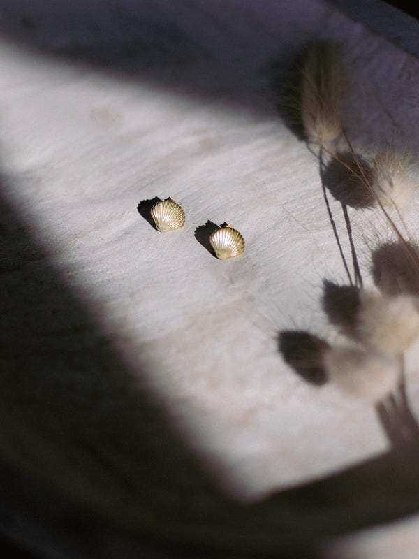 Gold shell-shaped earrings on a light marble surface with dried grasses.