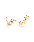 Gold star-shaped earrings on a white background