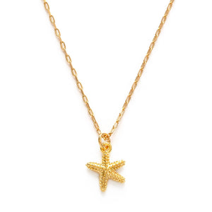 tiny star fish necklace