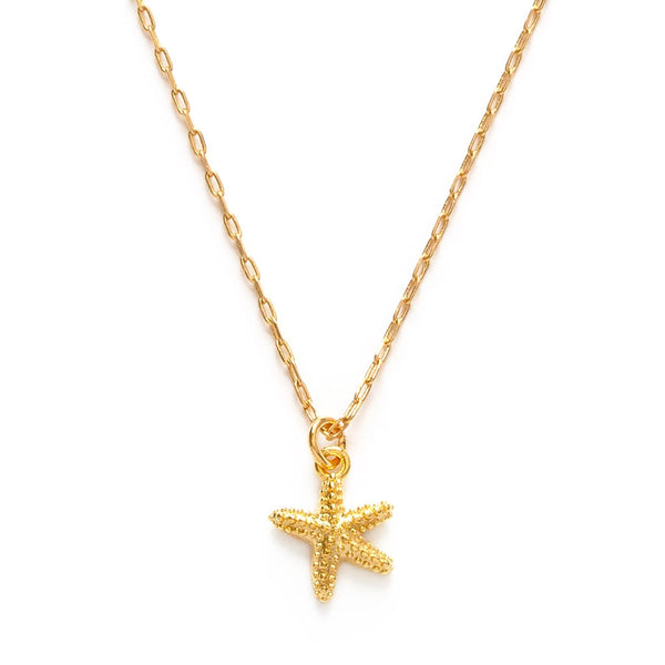 tiny star fish necklace