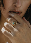 Close-up of a hand with gold rings on a blurred background
